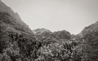 Tafelberg Nationaal Park Kaapstad, Zuid-Afrika. foto