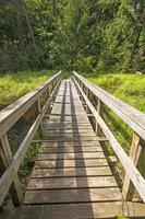 houten loopbrug Aan een wildernis pad foto