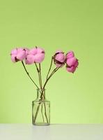 glas transparant vaas met een boeket van roze katoen bloemen Aan een wit tafel, groen achtergrond foto