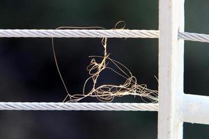 hennep touw voor afmeren boten en jachten. foto