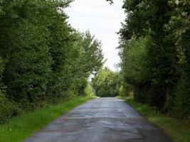 paarden Aan een Duitse weide foto