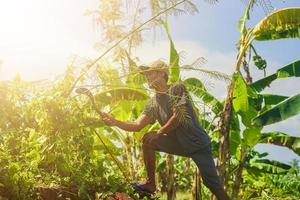 tegal, jawa tenga, 2022 - een boer in een kap bezuinigingen de onkruid met een zeis foto