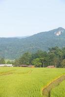 huis op het platteland in Thailand foto