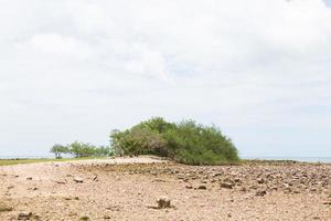 rotsachtig strand aan zee in thailand foto