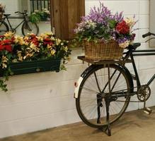 fiets met bloemen in de mand foto