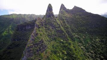 mysterieus en mooi Hawaii foto