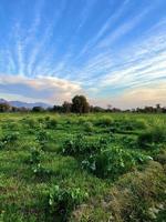 mooi landelijk landschap met mooi helling avond lucht Bij zonsondergang. groen veld- en dorp foto