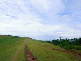 groen gras veld- Aan klein heuvels en blauw lucht met wolken en aarde trails in Indonesië foto