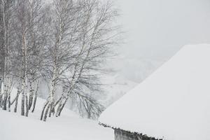 een overvloedig sneeuwval in de Roemeense Karpaten in de dorp van sirnea, brasov. echt winter met sneeuw in de land foto