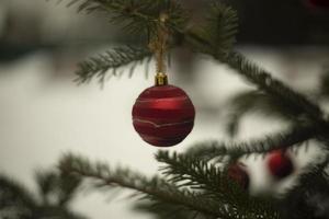 rood ballen Aan sparren. decoratie voor nieuw jaar. feestelijk humeur in winter. foto