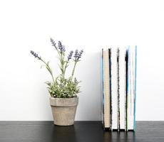 notebooks met wit Pagina's en keramisch potten met planten foto