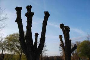 meer in de Duitse Munsterland foto