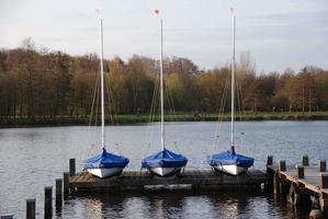 meertje in Westfalen foto