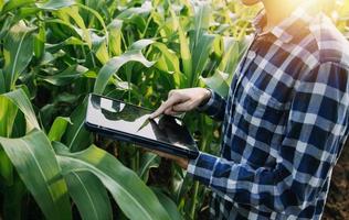 Aziatisch vrouw en Mens boer werken samen in biologisch hydrocultuur salade groente boerderij. gebruik makend van tablet inspecteren kwaliteit van sla in kas tuin. slim landbouw foto