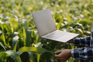 Aziatisch vrouw en Mens boer werken samen in biologisch hydrocultuur salade groente boerderij. gebruik makend van tablet inspecteren kwaliteit van sla in kas tuin. slim landbouw foto