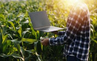 Aziatisch vrouw en Mens boer werken samen in biologisch hydrocultuur salade groente boerderij. gebruik makend van tablet inspecteren kwaliteit van sla in kas tuin. slim landbouw foto