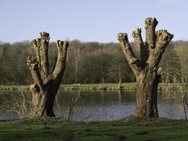 meer in de Duitse Munsterland foto