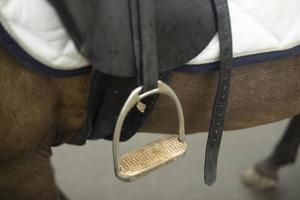 zadel Aan paard. paard in detail. staal voet stijgbeugels. foto