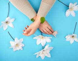 gekruiste vrouw handen en bloeiend wit clematis bloemknoppen Aan een blauw achtergrond foto