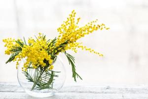 mooi geel mimosa bloem bloesem in glas vaas in voorjaar tijd foto