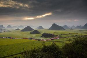 geel koolzaadbloemveld met de mist in luoping, china foto