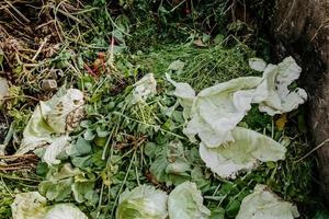 compostbak voor voedselafval. concept van organische meststoffen voor de tuin. foto