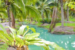 de blauw water oppervlakte is omringd door kokosnoot bosjes in zuidelijk Thailand. foto