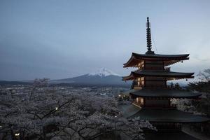 kers bloesem festival in Japan, mt.fuji foto