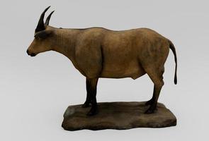 Afrikaanse buffel, zoogdier 3d renderen Aan wit achtergrond foto