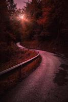 weg in het bos in de herfst in bilbao, spanje foto