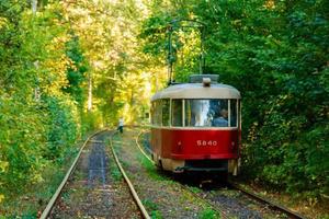 tram en tram rails in kleurrijk Woud foto