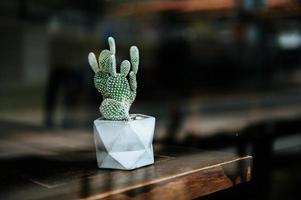 cactussen in potten, selectieve aandacht