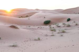 woestijn landschap landschap foto