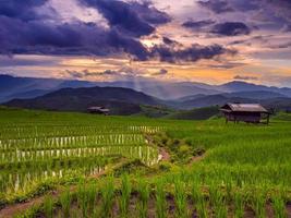 zonsondergang en groen terrasvormig rijst- veld- in vader pong pieng , mae chaem, Chiang mei, Thailand. foto