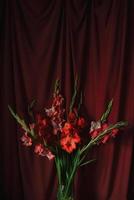 bloemen Aan rood backround foto