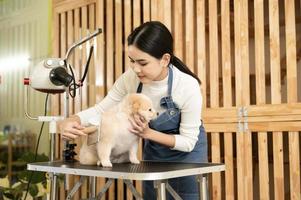 vrouw professioneel groomer kammen hond vacht Bij huisdier spa uiterlijke verzorging salon foto