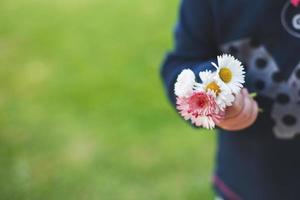 weinig meisje met kamille bloemen in haar hand. meisjes hand- met kamille bloemen dichtbij foto