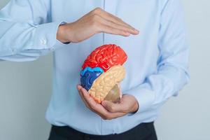 Mens Holding menselijk hersenen model. wereld hersenen tumor dag, hersenen hartinfarct, Dementie, alzheimer, Parkinson en wereld mentaal Gezondheid concept foto