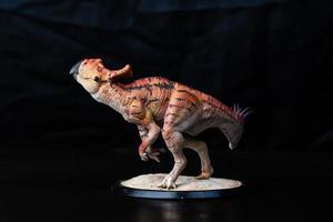 protoceratops , dinosaurus Aan zwart achtergrond foto
