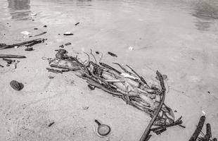 plastic uitschot gestrand gewassen omhoog vuilnis verontreiniging Aan strand Brazilië. foto