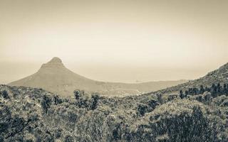 uitzicht vanaf tafelberg op leeuwenkop kaapstad. foto