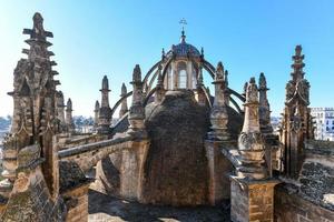 dak van de kathedraal van st. Maria van de zien van sevilla, ook bekend net zo de kathedraal van Sevilla in Spanje. foto