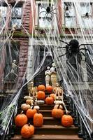 kleurrijk pompoenen en bloemen Aan de trap van een oud brownstone huis in nieuw york stad gedurende herfst foto