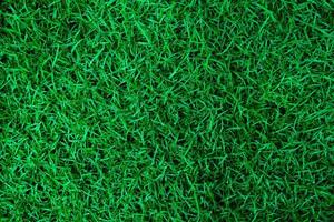 natuurlijk groen gras structuur met water druppels. perfect golf of Amerikaans voetbal veld- achtergrond. top visie foto
