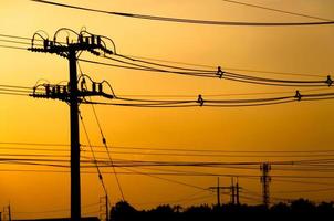 silhouet van elektrisch pool met kabel Aan dramatisch zonsondergang lucht, horizontaal kader foto