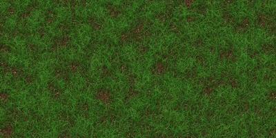 bijzonder getextureerde weide achtergrond. gras textuur. veld- achtergrond. park gazon patroon. foto