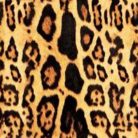 naadloos luipaard huid, luipaard textuur. foto