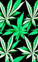 groen marihuana blad in natuur patroon ontwerp foto