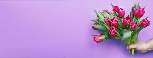 mans hand- Holding boeket van vers bloemen tulpen Aan Purper roze achtergrond. foto