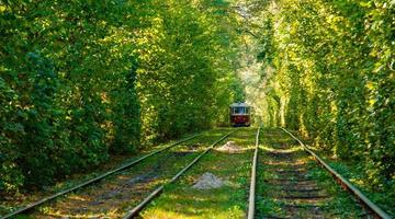 tram en tram rails in kleurrijk Woud foto